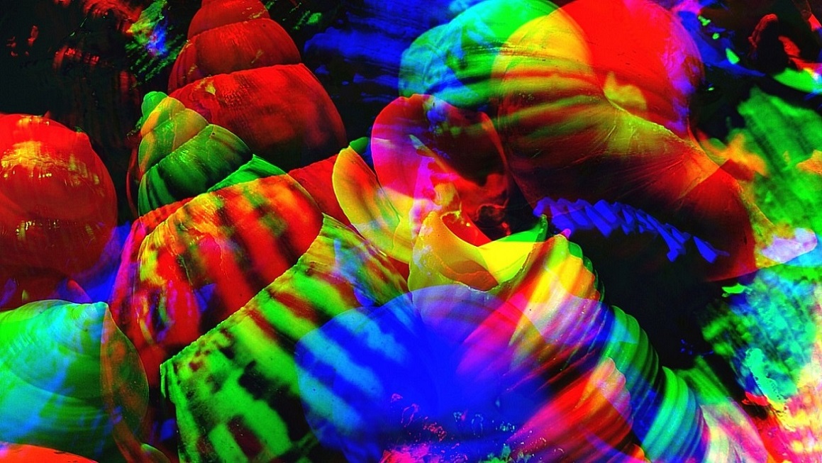 Что делает все человечество жестоким?