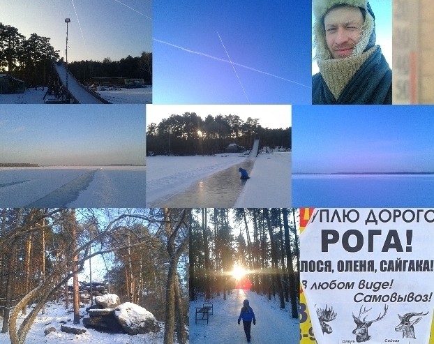 Люблю декабрьские прогулки...