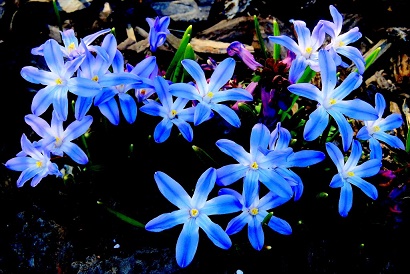 Андромеде будем слать поцелуи