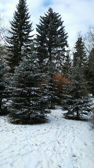 Студеный февраль