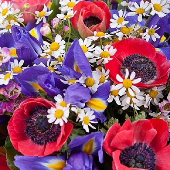 Будет лето!