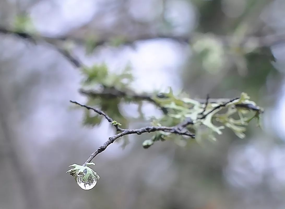 Апрельский дождь