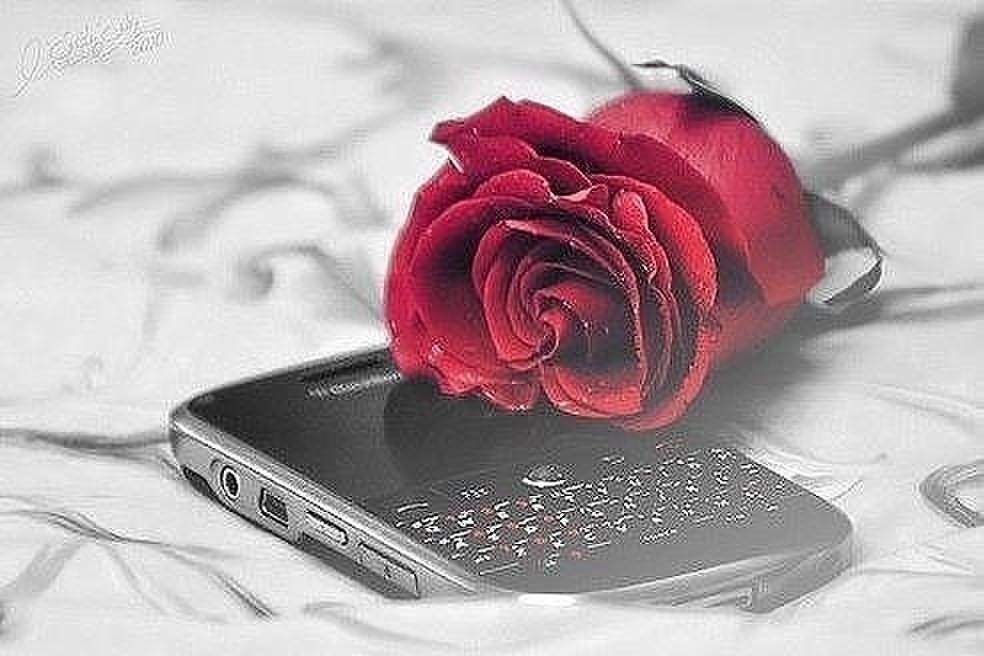 И верну телефон ей. Цветы и мобильник. Сотовый телефон и цветы. Мобильный телефон с цветами.