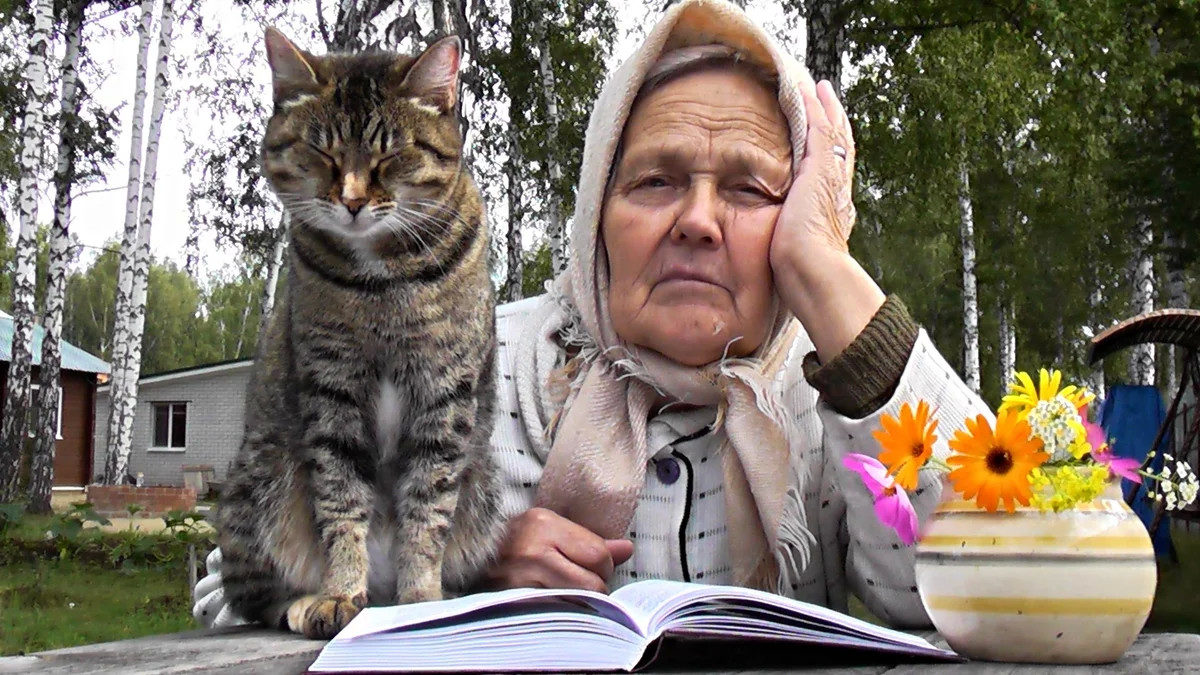 на скамейке семь котят