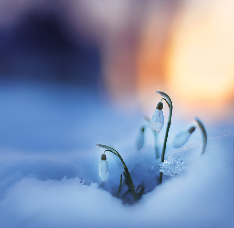 Торопитесь...