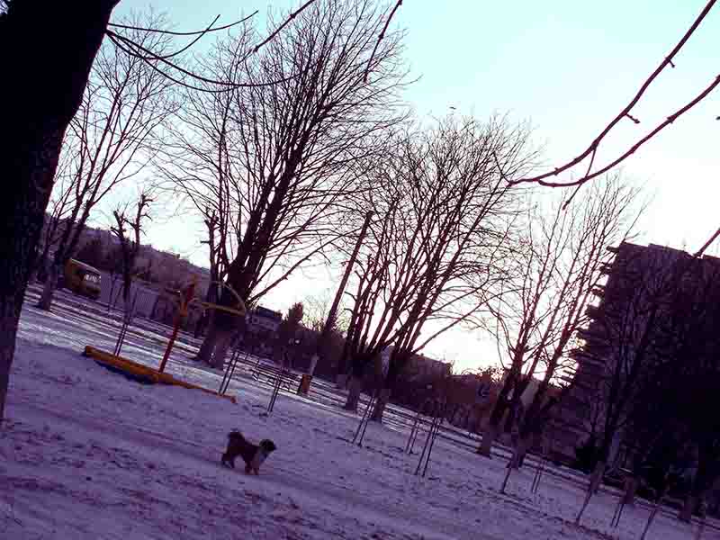 А на вика наплювала б шваль