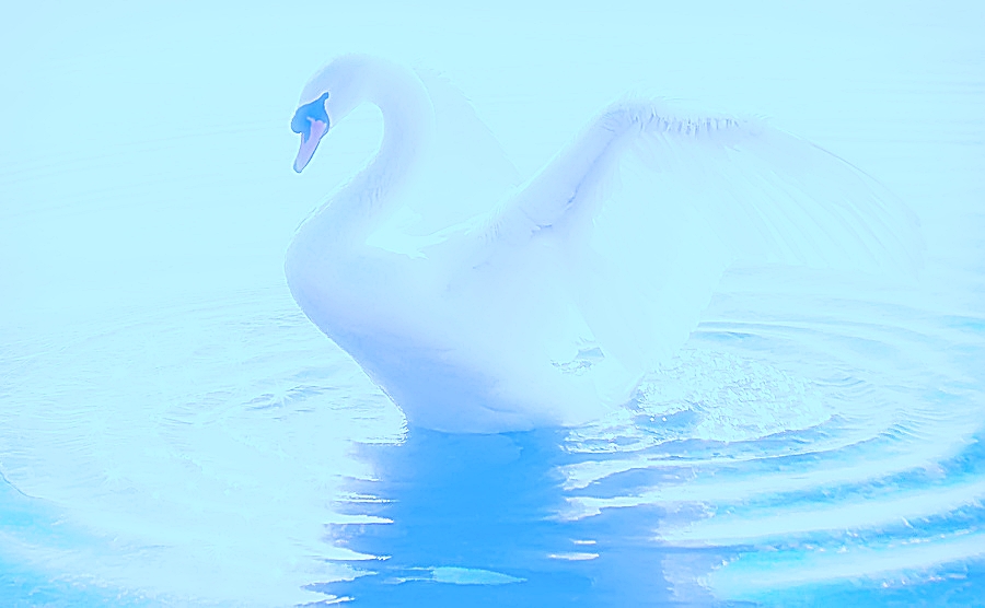 Доживу - лебяжье!