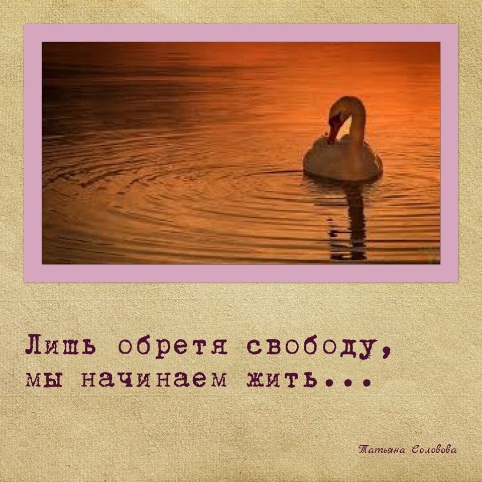 Свобода в семейной жизни. Афоризмы про свободу. Стихи про свободу. Красивые афоризмы про свободу. Цитаты про свободу короткие.