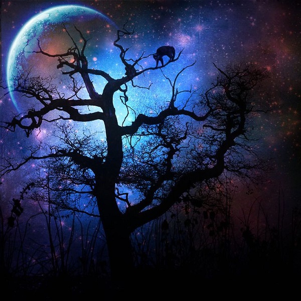 Дитя понедельника