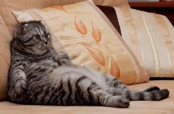 Утро бездельника