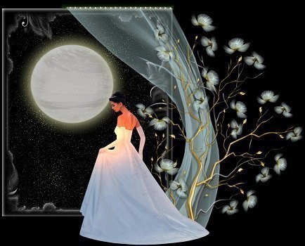 Целомудренная звезда