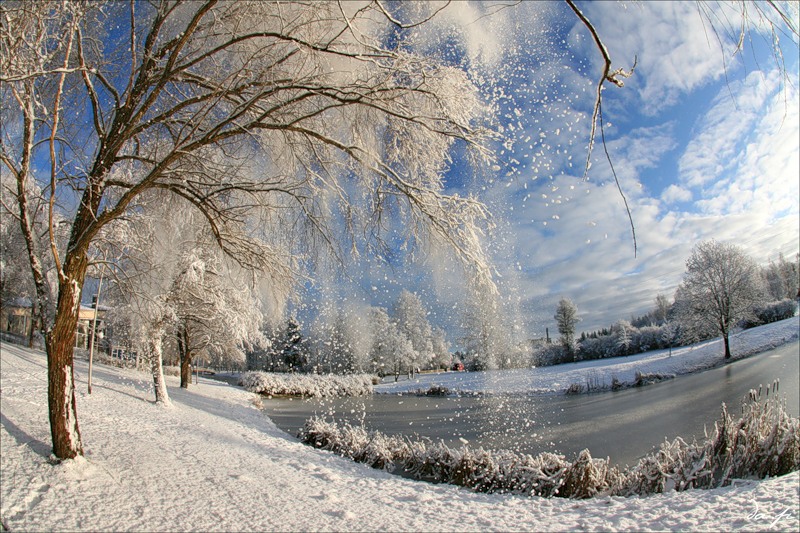 Начало зимы