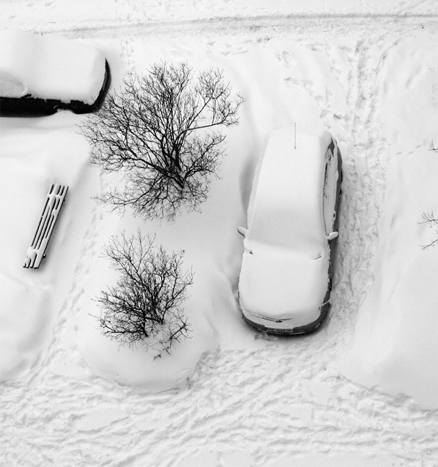 Впечатление от фото. Такая снежная зима (Нина Петриченко) / Стихи.ру