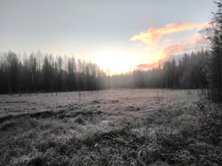 Поздняя осень