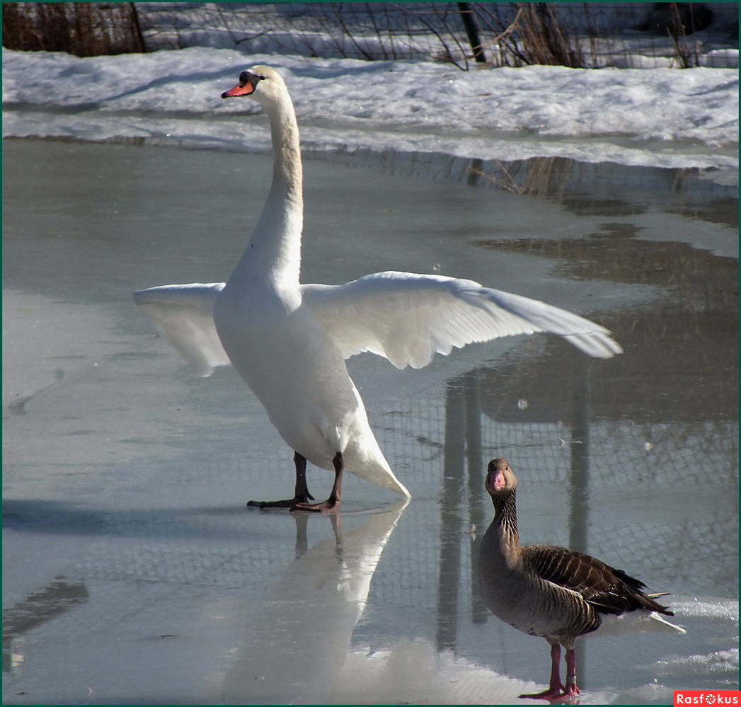 Будет славная семья!!!