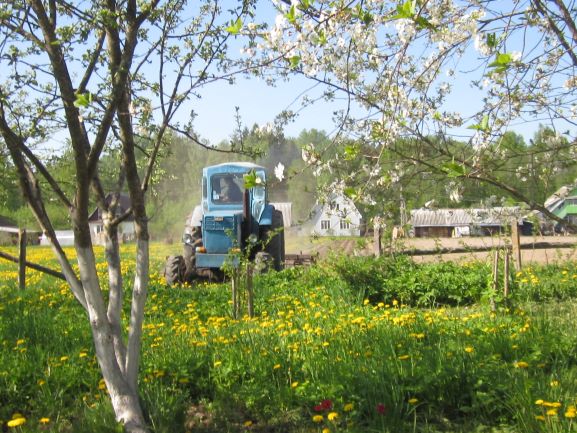 Ожидание весны