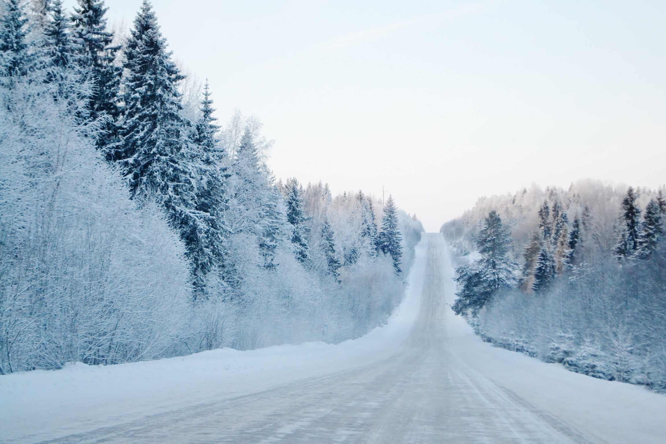 Тема зимней дороги. Зимняя дорога. Зимняя дорога в лесу. Трасса зима. Заснеженная дорога.