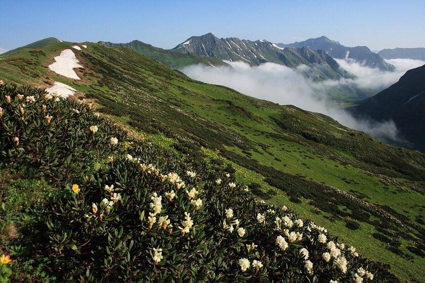 Глоток свободы