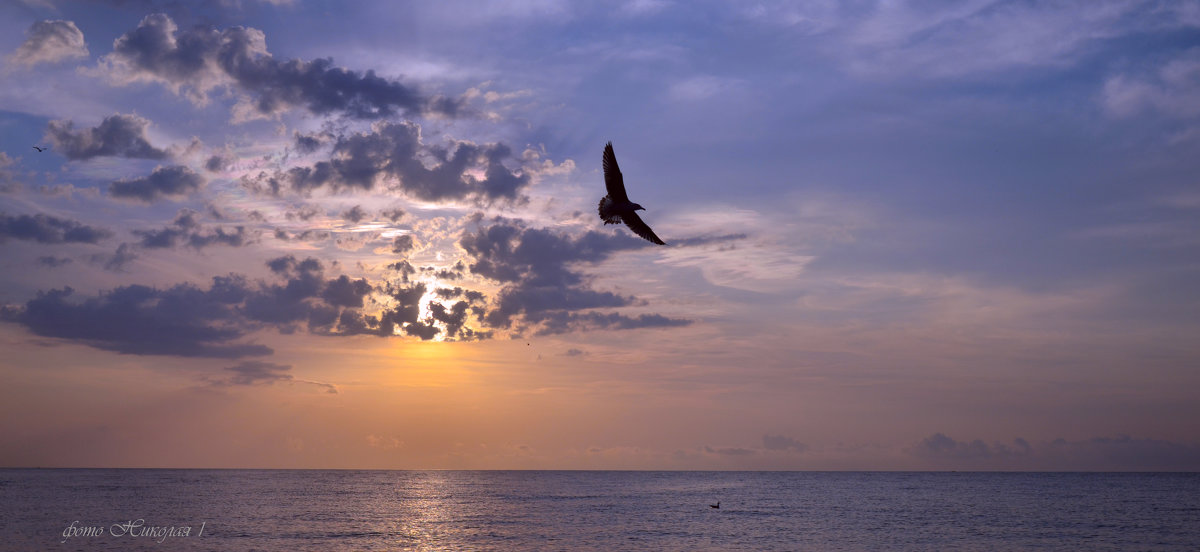 Мигнула и ушла...