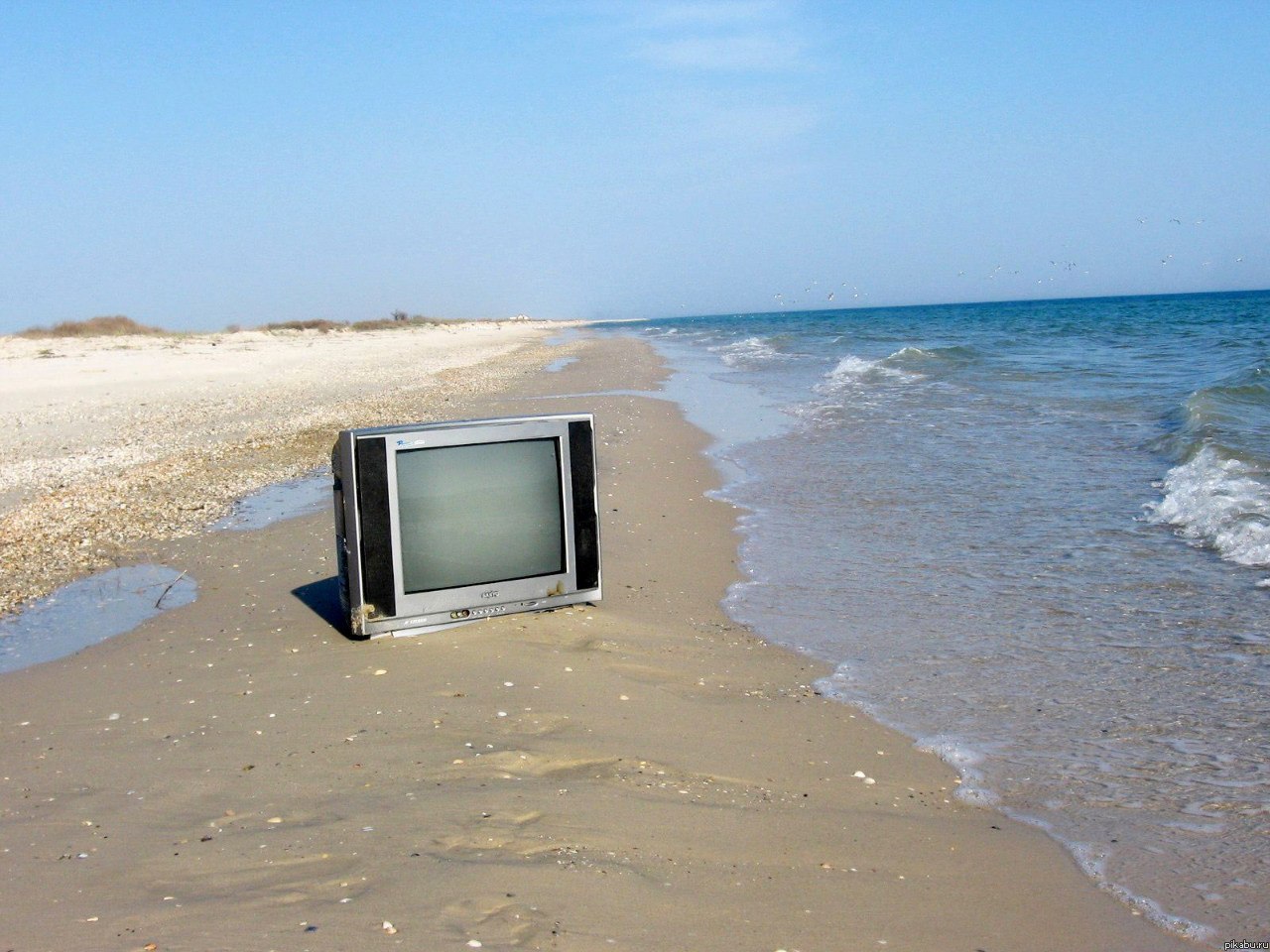 море тв на компьютере. море tv бесплатно. море тв логотип. море тв. телевизор картинка.