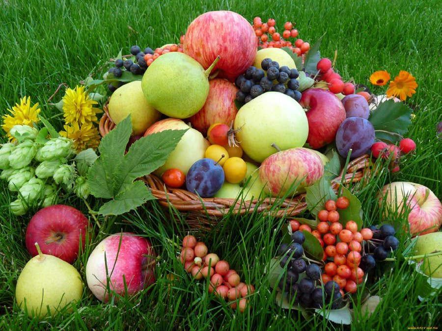 Осенние гостинцы