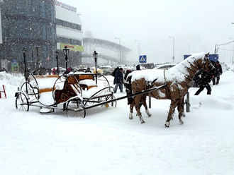 Закружился февраль, завьюжился...