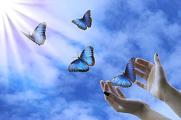 А в этот миг...