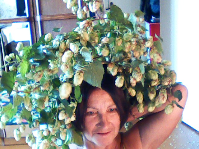 Пятая книга стихов хмель ветров