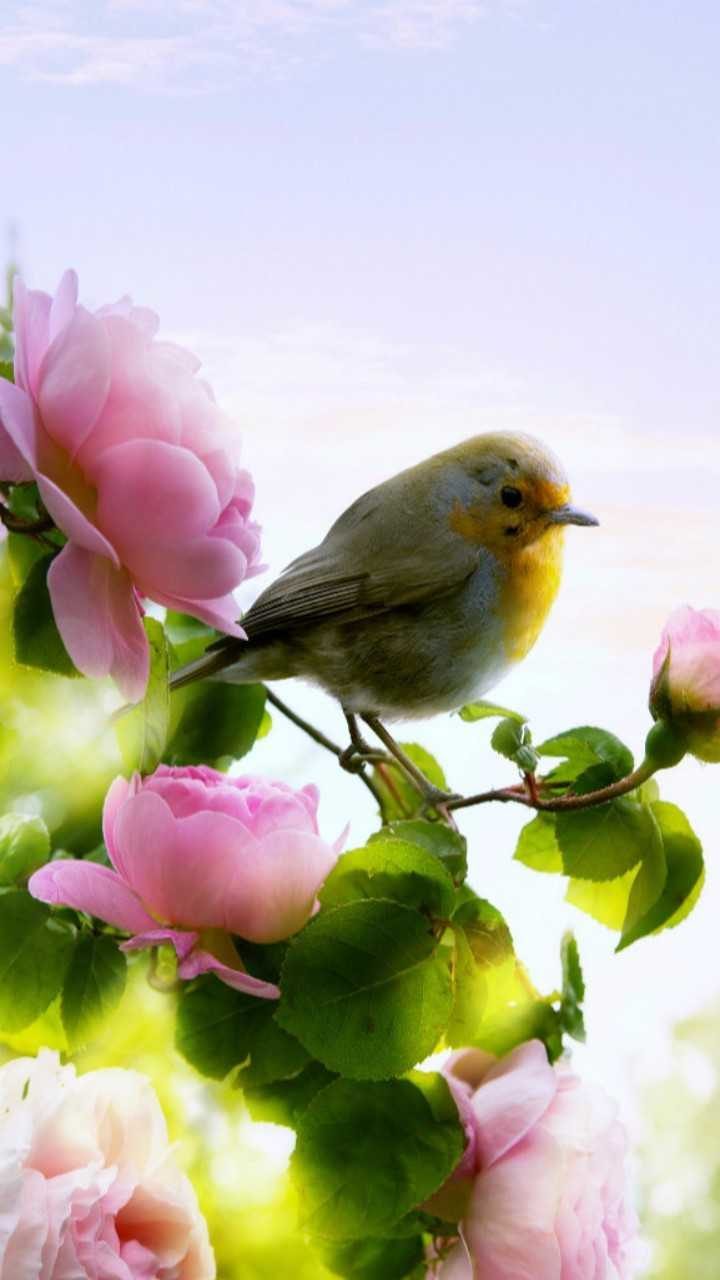 Родилась такой!