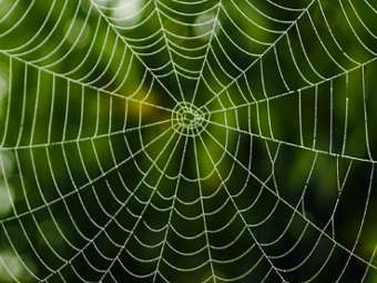 Путь к Простоте