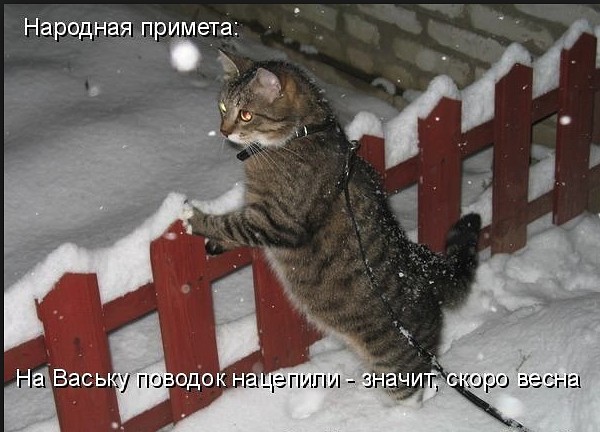 Подготовка к марту