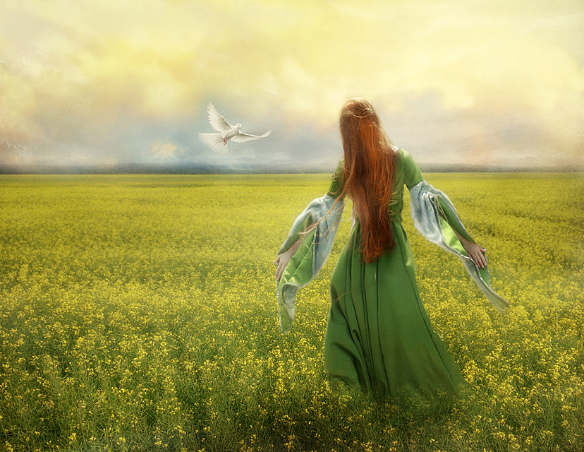 Сердце на свободе