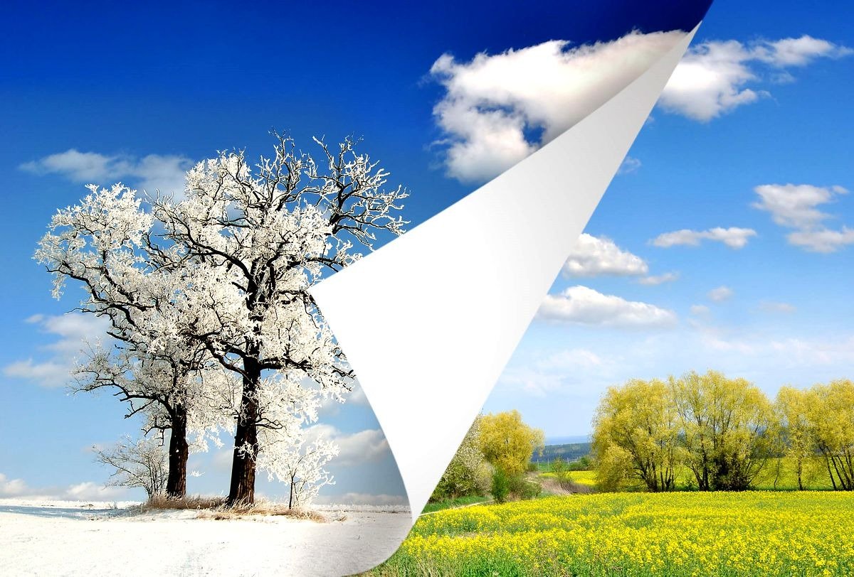 Зима, зима, зима