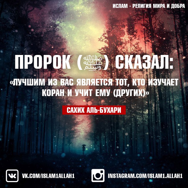 В. Лучший нрав. Хороший нрав в исламе. Хадисы о любви. Хадисы про взаимоотношения.