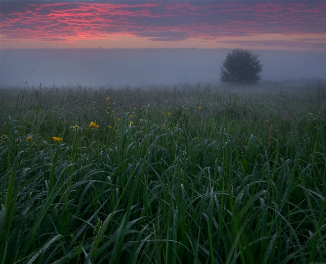Предрассветное