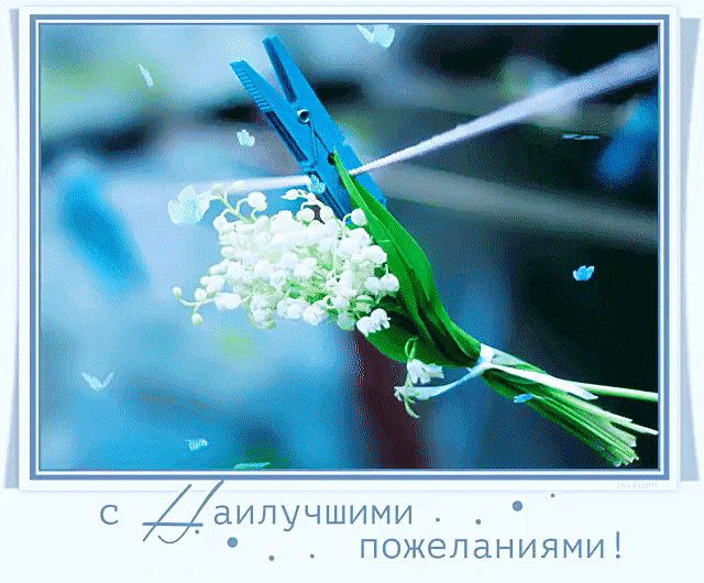 К нам летит - Весна!