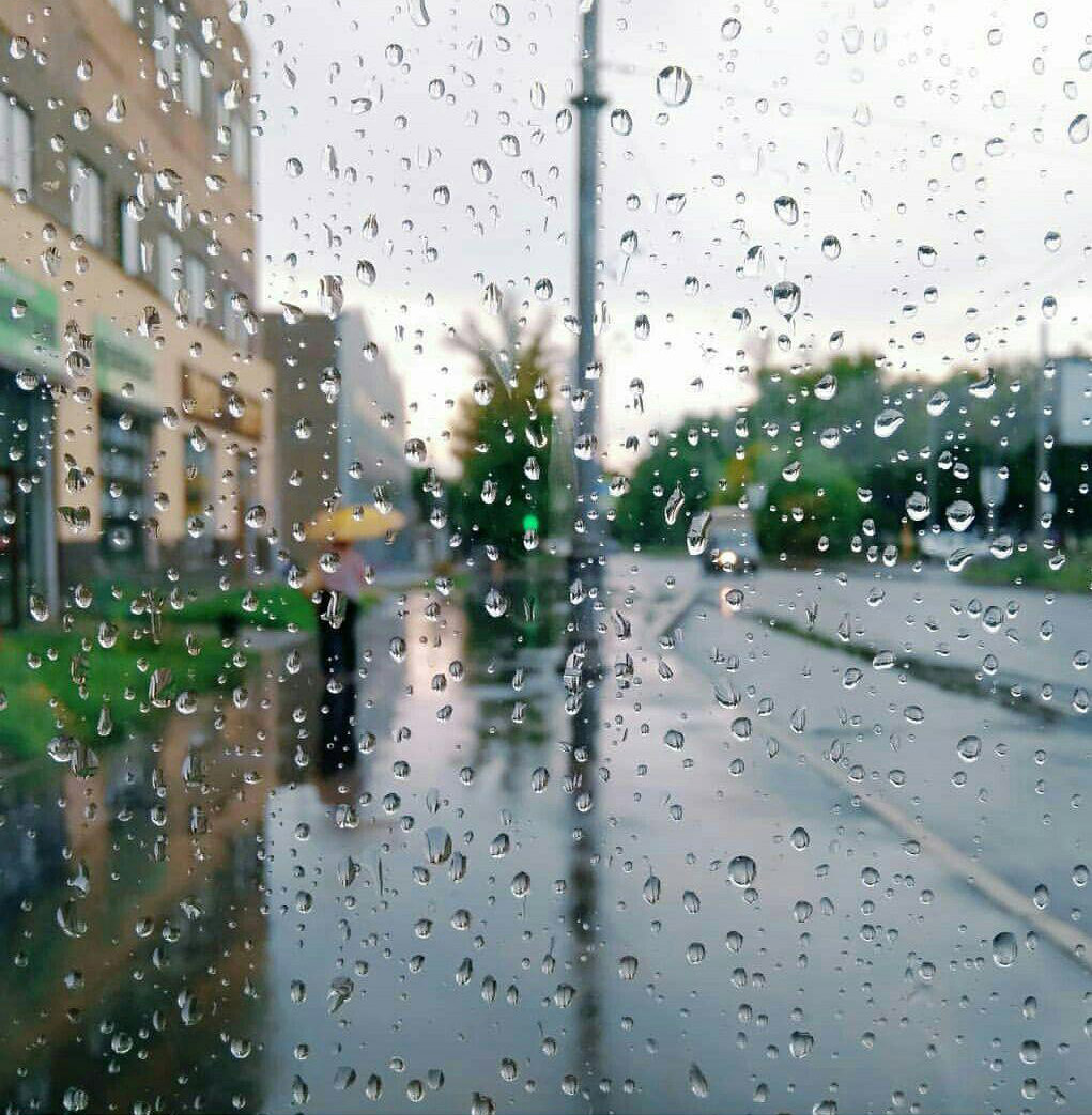 Долгожданная свежесть приходит с дождём...