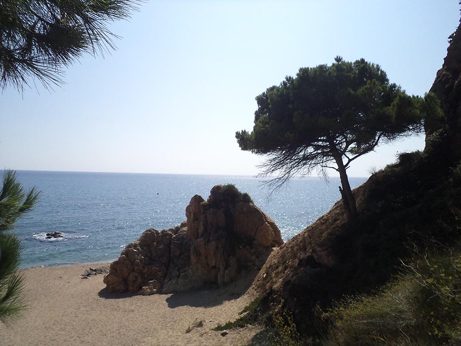 Капля без океана. Притча