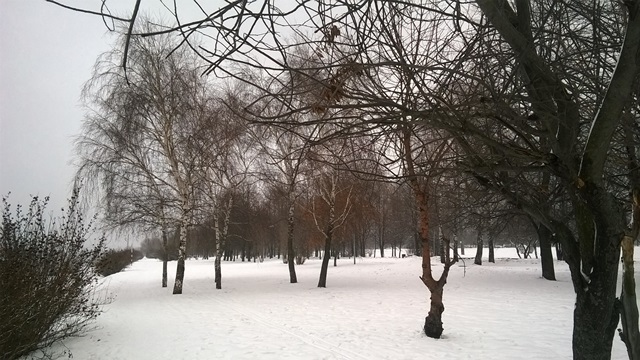 Зимнее ненастье