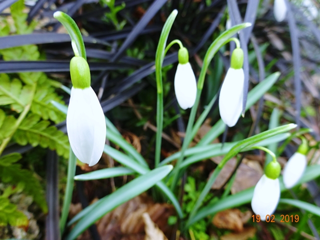 Провал реноме