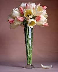 Боль от убитой красоты