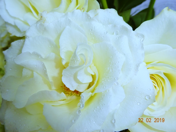 Жизнь - элегия Света!