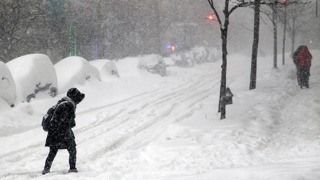 К нам опять вернулась стужа...