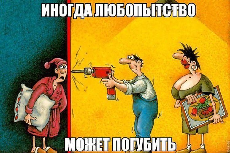 Картинки любопытство не порок а большое свинство