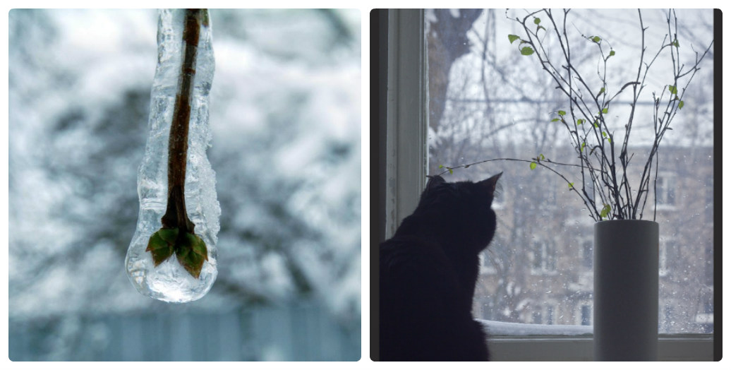 Предчувствие весны