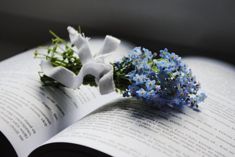 Ценою слёз!