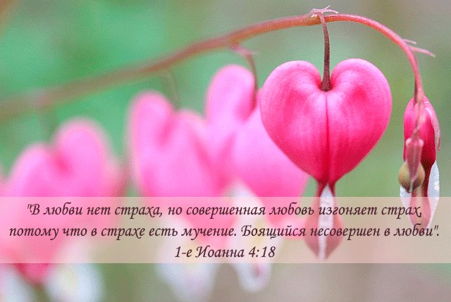 Любовь проникновение