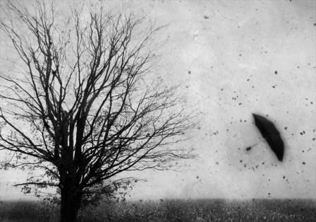 Не те, не те, не те...