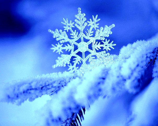 Рассказы детям. Великая миссия маленькой Снежинки