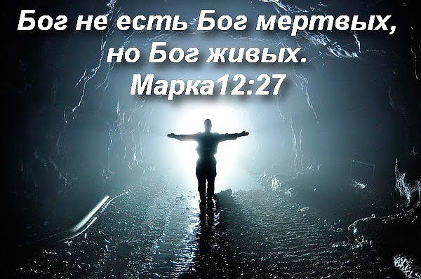 Я всё ещё не верю